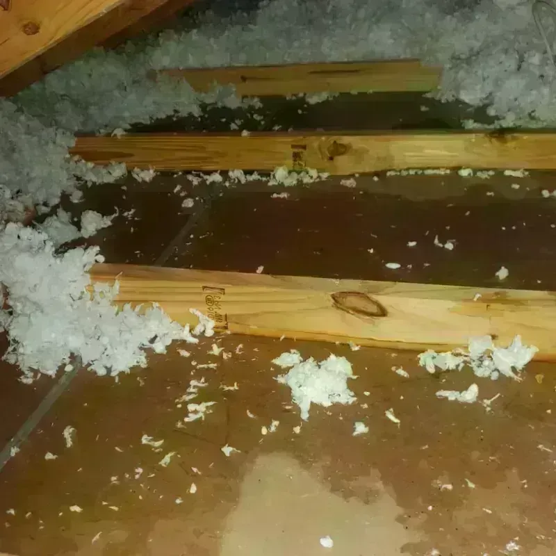 Attic Water Damage in Hatboro, PA